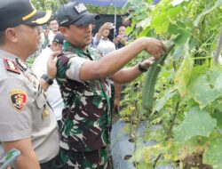 Kapolres Lubuk Linggau,  Menghadiri Kegiatan Panen Raya dan Pengumuman Swasembada Pangan 