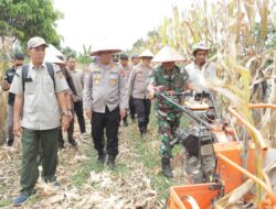 Sinergi Polri Dalam Mewujudkan Swasembada Pangan Nasional Kwartal 1 Tahun 2026