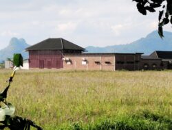 LAKI P45 Desak Bupati dan Gubernur Bertindak Tegas, Maraknya Alih Fungsi Lahan Sawah di Musi Rawas