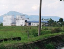 Diduga Langgar UU LP2B, LAKI P45 Desak Pemkab Mura Inventarisasi Alih Fungsi Lahan Sawah.