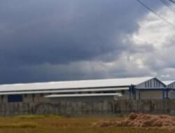 Alih Fungsi Lahan Sawah Ilegal Merajalela, Pemerintah Kabupaten Musi Rawas Dinilai Tutup Mata