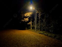 LAKI P 45 Desak Pemkot Lubuklinggau Buka Data Penerimaan Pajak Penerangan Jalan, Nilainya Diduga Fantastis.