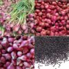 LAKI P45 Soroti Pengadaan Bibit Bawang Merah Rp.700 Juta di Muratara, Sekda Bungkam Saat Dimintai Klarifikasi
