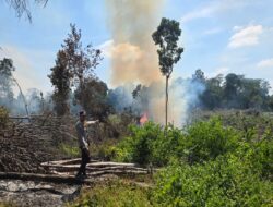 Buka Lahan Dengan Cara Dibakar, Warga Lubuklinggau Utara Diamankan