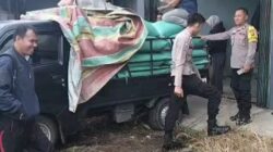 Polres Musi Rawas Dukung Astacita Presiden, Polsek BTS Ulu Dampingi Petani Jual 5,6 Ton Jagung ke Bulog