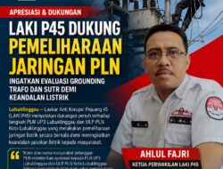 Aktivis Dukung Pemeliharaan Jaringan PLN, Ingatkan Evaluasi Grounding Trafo dan SUTR