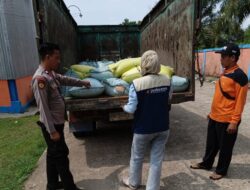 Polsek Muara Kelingi Dampingi Petani Salurkan 2,3 Ton Jagung ke Bulog, Hasil Panen Lulus Uji Kualitas