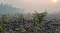 Asap Pekat Kepung Kabupaten PALI, Warga Keluhkan Sesak Napas