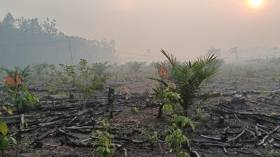 Asap Pekat Kepung Kabupaten PALI, Warga Keluhkan Sesak Napas